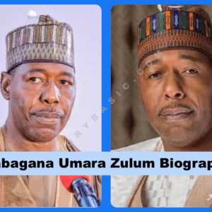 Babagana Umara Zulum Biography