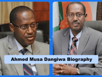 Ahmed Musa Dangiwa Biography
